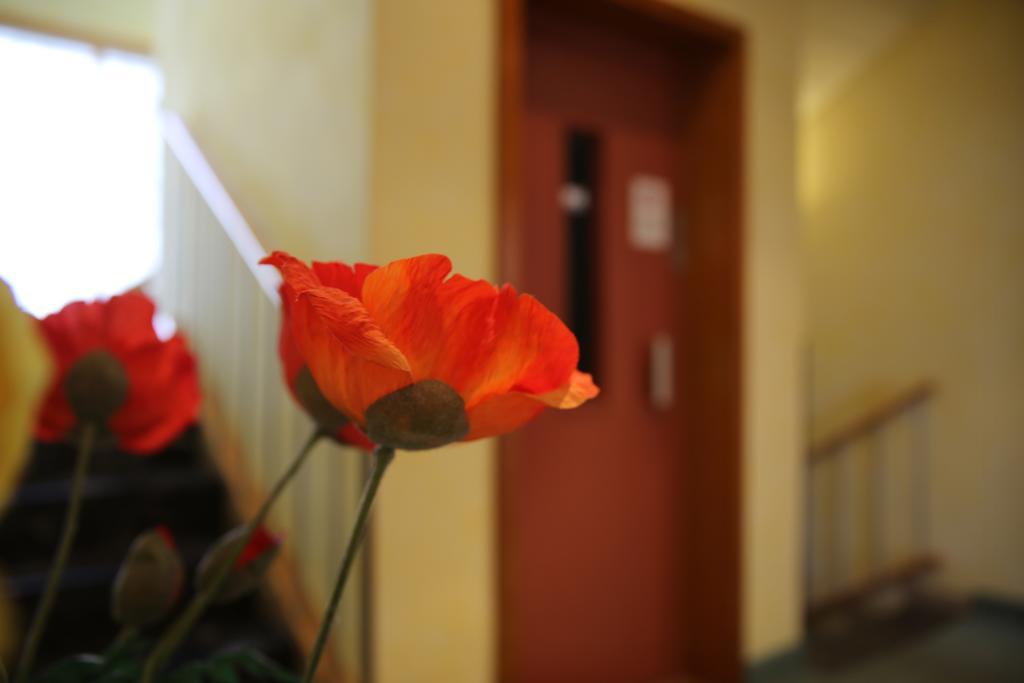 Hotel Zum Weissen Roessel Βάλντορφ Εξωτερικό φωτογραφία